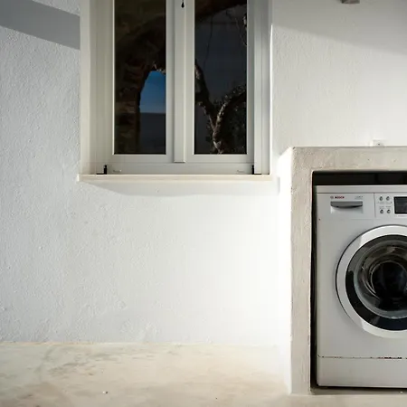 A Short Lemon Tree דירה