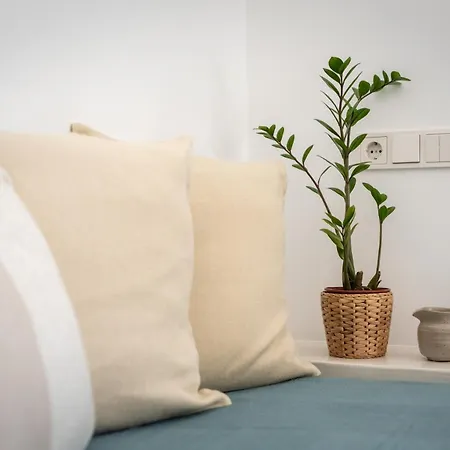 A Short Lemon Tree Naxos City