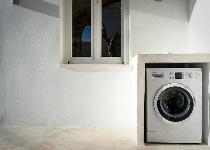 A Short Lemon Tree Appartement