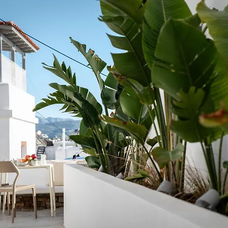 A Short Lemon Tree Apartment