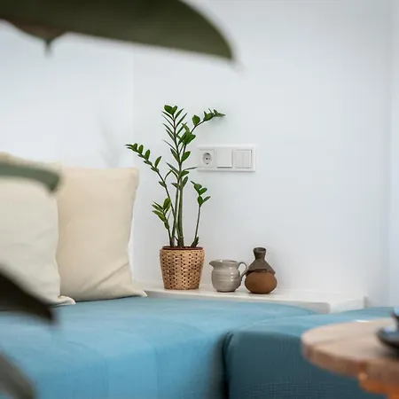 A Short Lemon Tree Apartment Naxos City